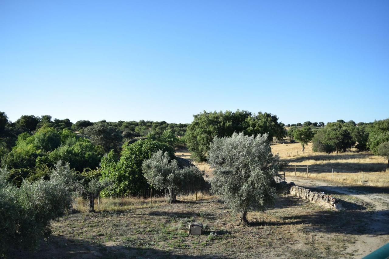 Memsoares Country House Castelo de Vide Bagian luar foto