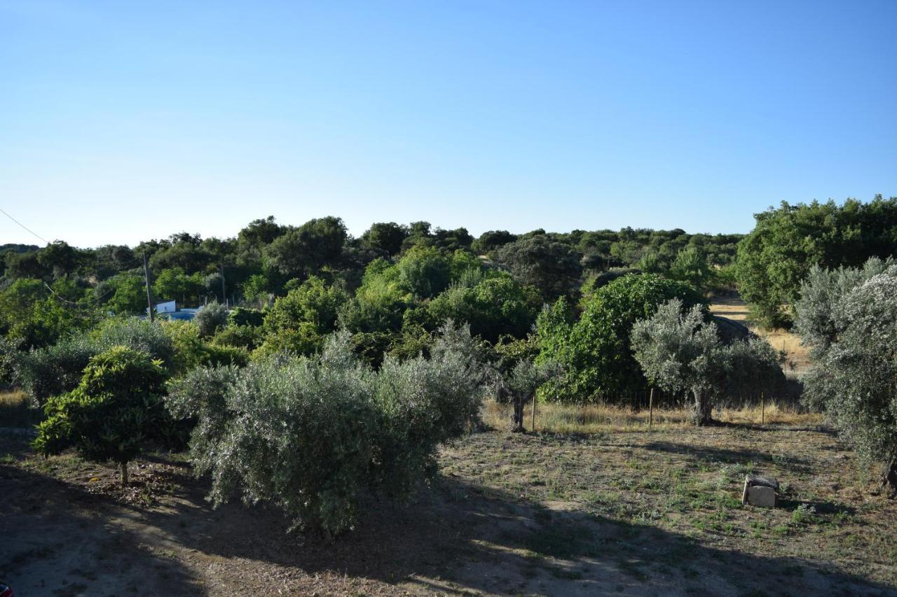 Memsoares Country House Castelo de Vide Bagian luar foto